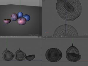 damson plum 3D 模型