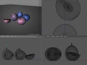 damson plum 3D Model