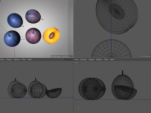 damson plum 3D 模型