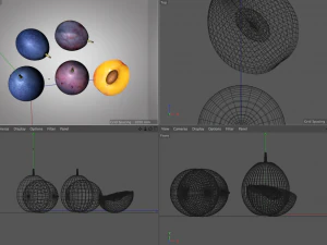 damson plum 3D Model