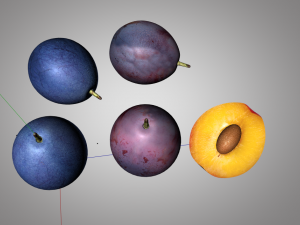 damson plum 3D 模型