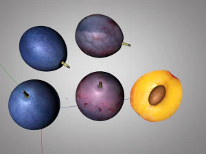 damson plum 3D Model