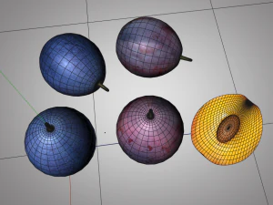 damson plum 3D Model