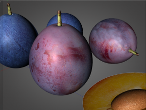 damson plum 3D 模型
