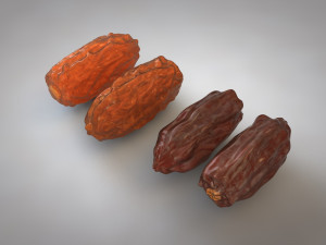 dates 3D Model