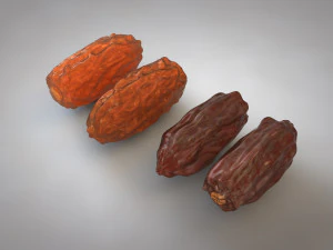 dates 3D Model