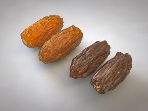 dates 3D Model