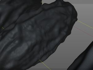 dates 3D Model