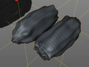 dates 3D Model