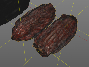 dates 3D Model