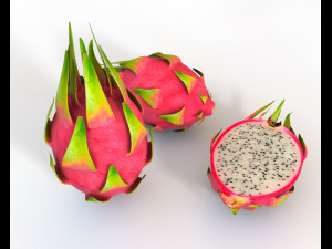 dragon fruit 3D Model