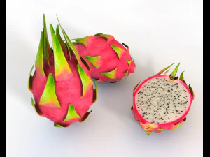 drakenfruit 3D Model