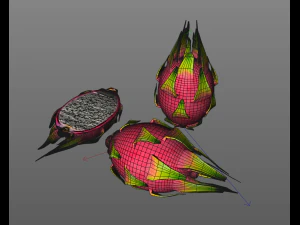 dragon fruit 3D Model