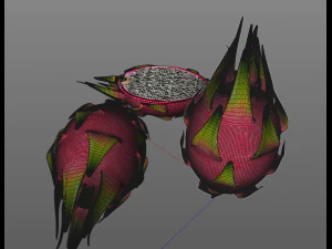 dragon fruit 3D Model