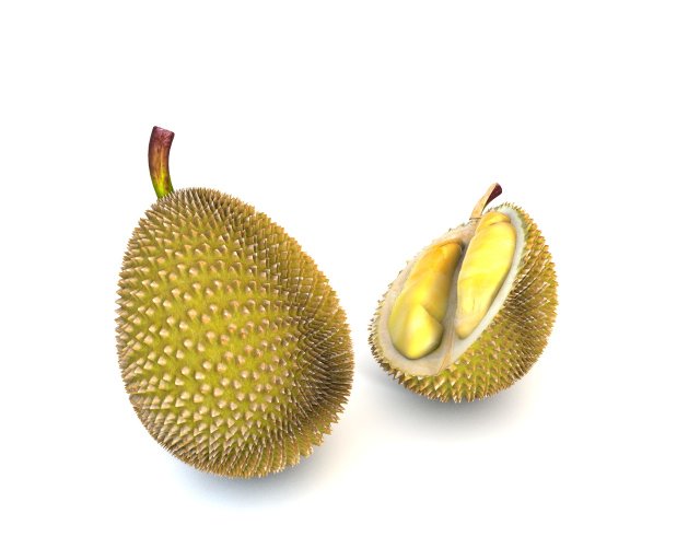 durian fruit 3D Модель .c4d .max .obj .3ds .fbx .stl .blend