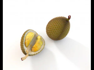 durian fruit 3D Model