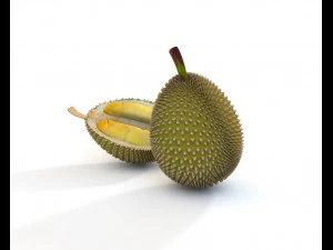 durian fruit 3D Model