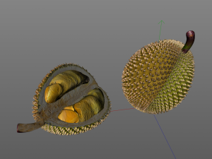 durian fruit 3D Модель