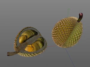 durian fruit 3D Model