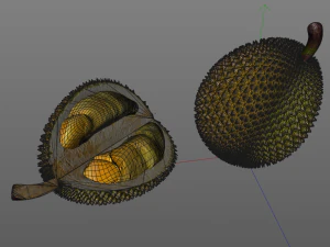 durian fruit 3D Model