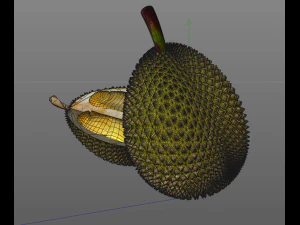 durian fruit 3D Model