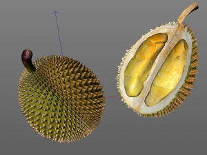 durian fruit 3D Модель