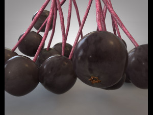 elderberry berries Modelo 3D