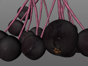elderberry berries Modelo 3D