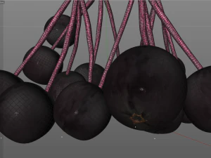 elderberry berries 3D Model