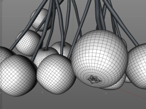 elderberry berries Modelo 3D
