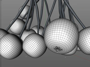elderberry berries 3D Model