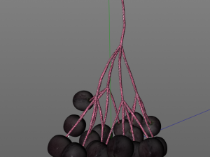 elderberry berries Modelo 3D