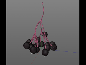 elderberry berries Modelo 3D
