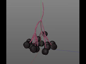 elderberry berries 3D Model