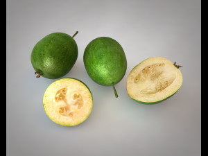feijoa fruit Modelo 3D