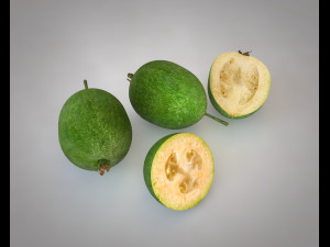feijoa fruit Model 3D