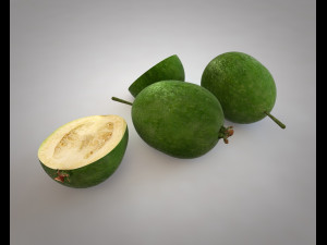 feijoa fruit Model 3D