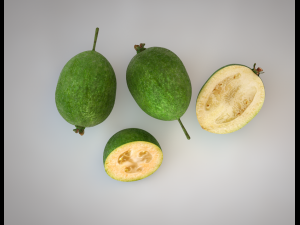 feijoa fruit Model 3D