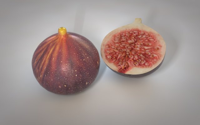 fig 3Dモデル .c4d .max .obj .3ds .fbx .stl .blend 
