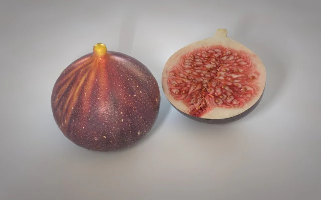 fig 3D Model .c4d .max .obj .3ds .fbx .stl .blend