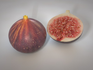 fig 3D Model