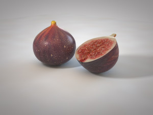 fig 3Dモデル