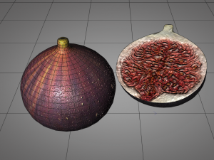 fig 3Dモデル