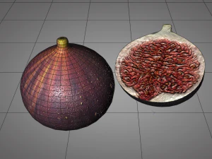 fig 3D Model