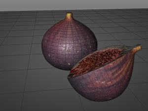 fig 3Dモデル