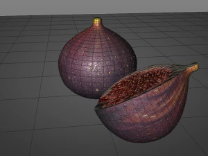 fig 3D Model