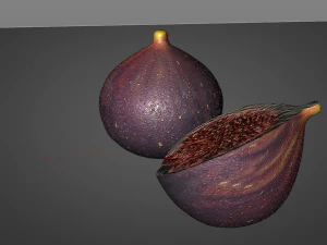 fig 3D Model