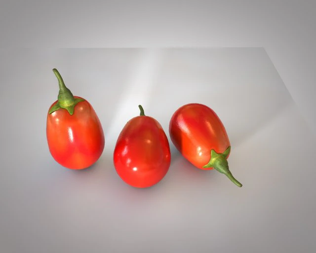 goji berry 3D Model .c4d .max .obj .3ds .fbx .stl .blend 