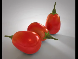 goji berry 3D Model