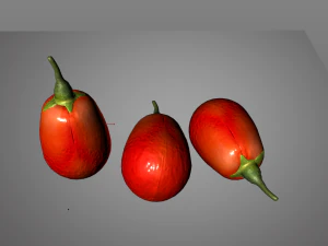goji berry 3D Model